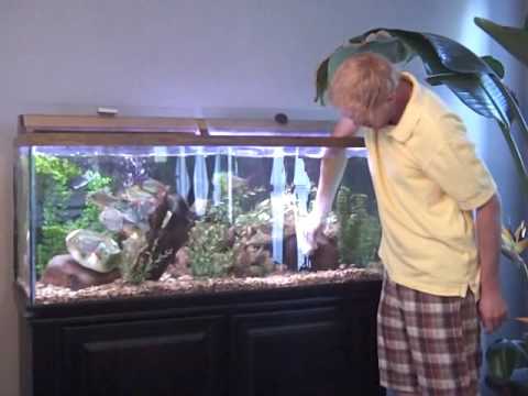 How do you clean fish tanks?