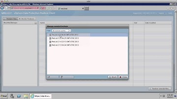 VMware vSphere Data Protection -  File Level Restore