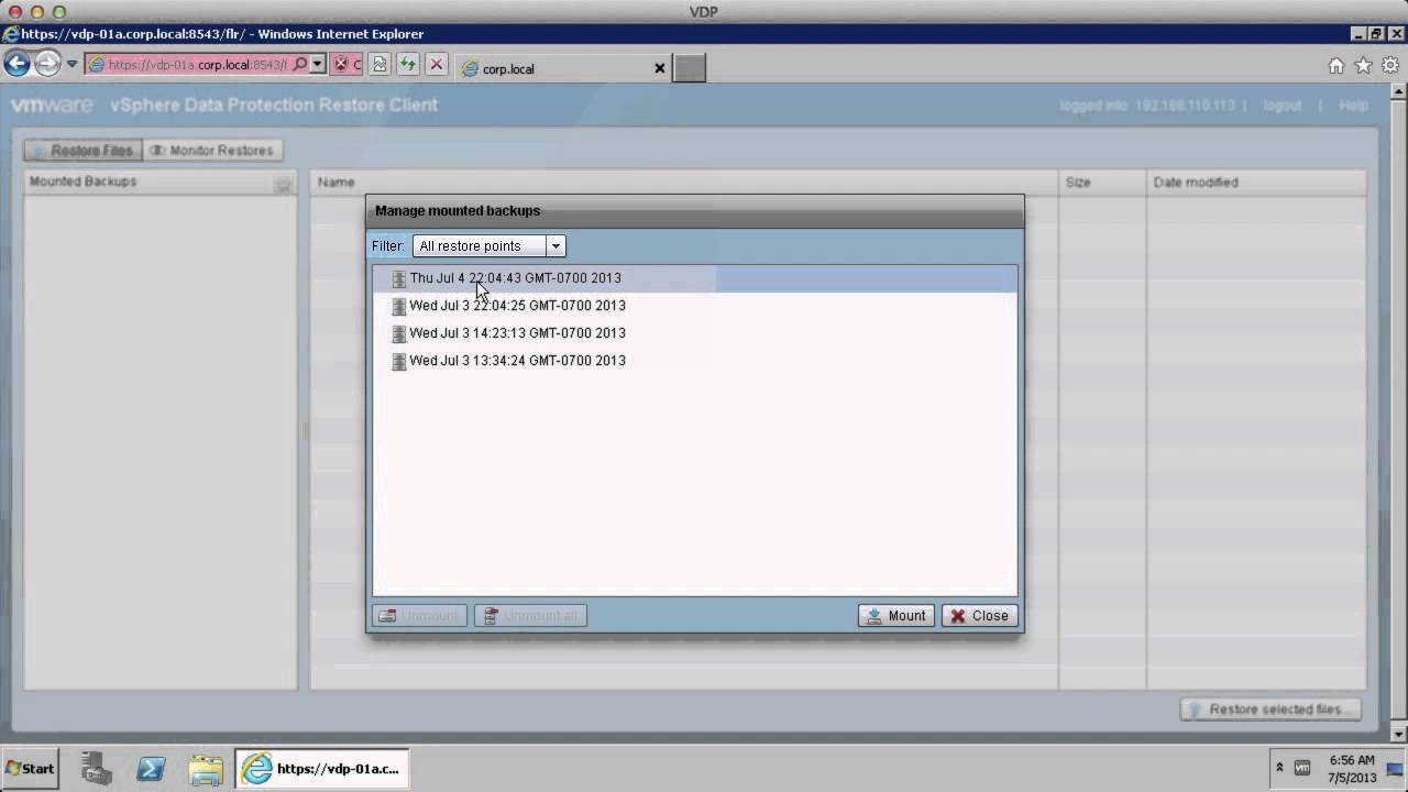 VMware vSphere Data Protection -  File Level Restore