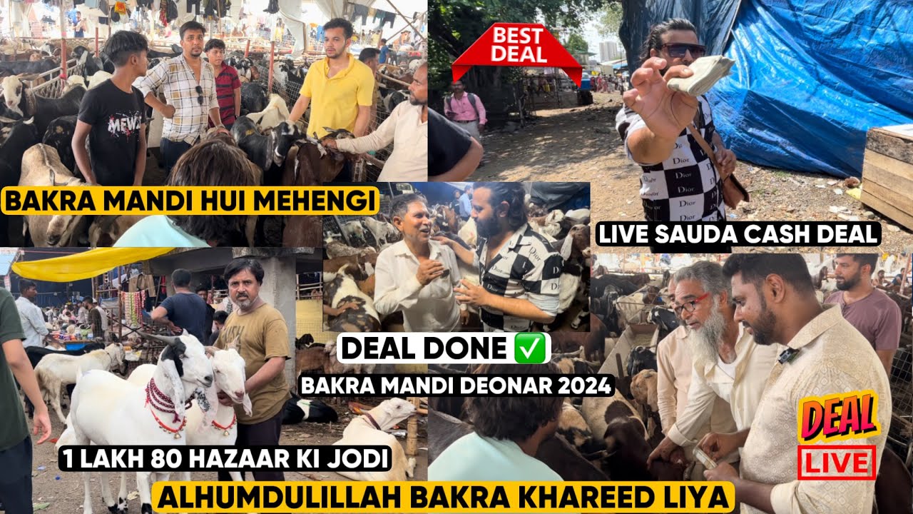 Deonar Bakra Mandi Latest Video | Live Sauda | Deonar Mein Bakre Hue Mehnege #deonar