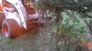 Koeckeritz Iron & Steel, Super duty Tree & post Puller pulling 6 inch 30ft tree beside a pine tree