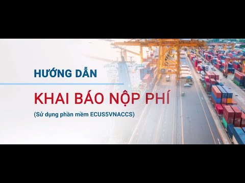 Video Hướng dẫn khai báo nộp phí Cơ sở hạ tầng cảng biển... - youtube