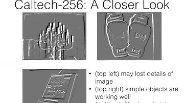 Caltech-256 Object Recognition Dataset DVS Recordings
