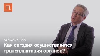 Трансплантология в хирургии - Алексей Чжао