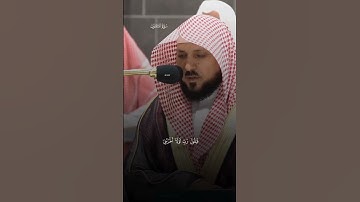 #ماهرالمعيقلي #سورة_الحشر #alasir_mihrab