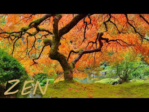 Zen