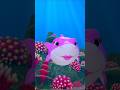 Baby Shark #song #trending #viral #ytshorts #shortsfeed #forkids #littletritans #babyshark