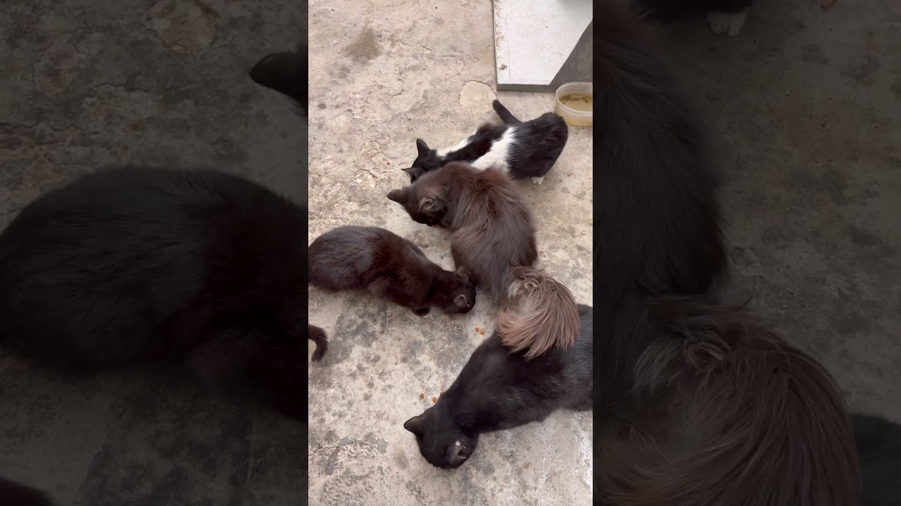 Время их ужина 