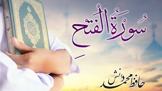 SURAH AL FATH سُوْرَةُالْفَتْحِ | Ruku No. 3 | Hafiz Mohammed Danish | Danish Studio