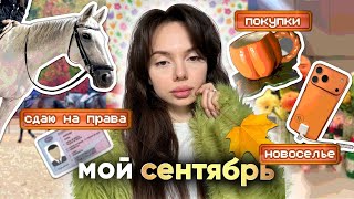 картинка: влог: сдаю на права (страшно 😭) 🚗 покупки, новоселье teslond & barashik 🎉 собираюсь на отдых ☀️🧳