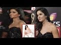 Katrina Kaif FLAUNTS Her ASSETS at the Red Carpet- Colors Screen Awards 2013