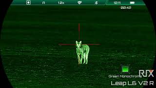 Rix Optics Leap L6R