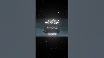 سورة الأحزاب|66|القارئ:#محمد_اللحيدان #قران #quran #راحة_نفسية #قران_كريم #تلاوة_هادئة ##تلاوة_خاشعة