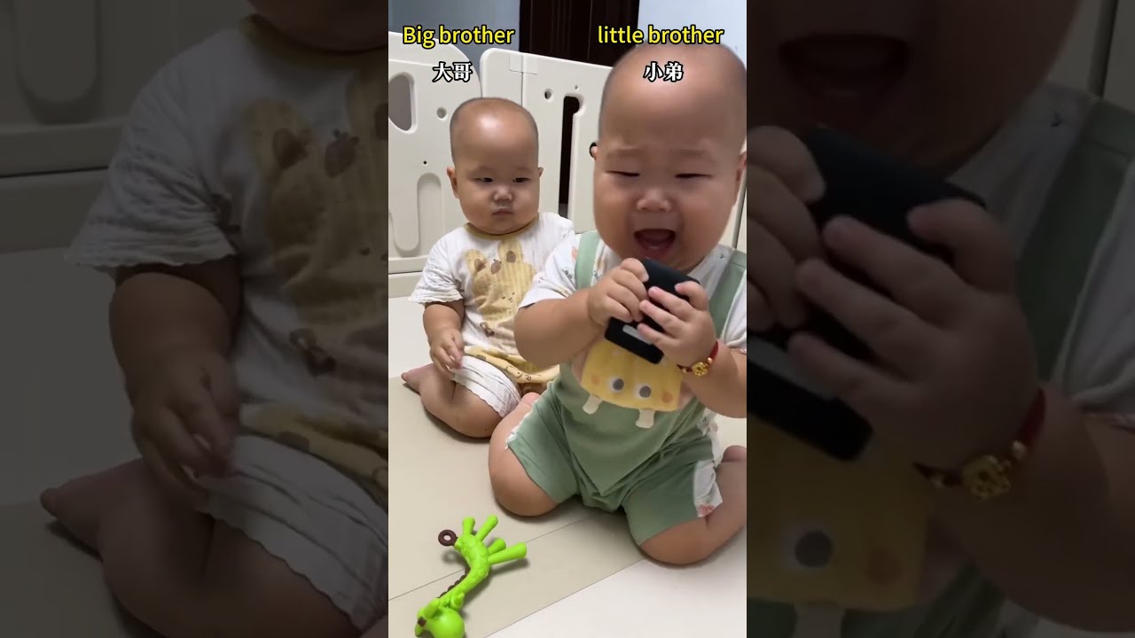 The Elder Brother Snatches Younger S Toys Bites Him Baby Cute Funny Cutebaby
