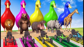 5 Funny 3D Animals on the Huge Water Slide Challenge | Dino, Ape, Cow, and Elephant Race