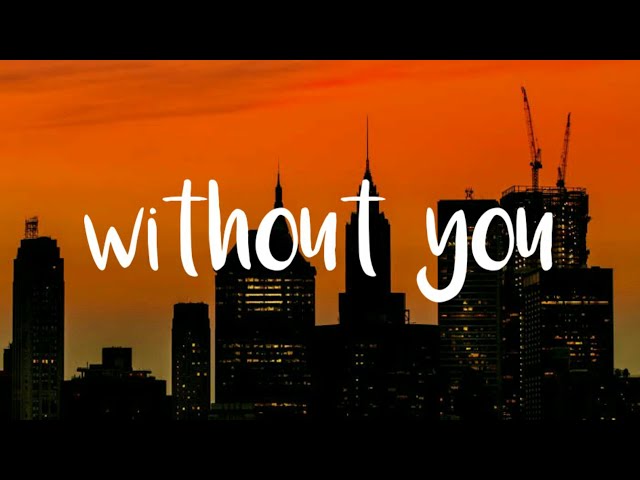 Steve Void - Without You (feat. AUSTN) (Lyrics) class=