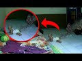 5 Videos de TERROR EXTREMO que NO te Dejarn DORMIR 2021 VOL 7