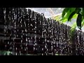 Beautiful natural rain sound, tropical rain, monsoon rain, no stress&amp; insomnia |Rain Best Relaxation