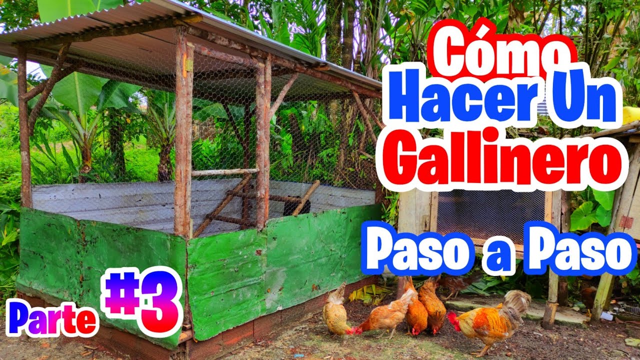 Cómo hacerles un buen gallinero a nuestras gallinas - Granja Pinseque