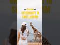 Unsere Unterkunft bei Giraffen 🥹🦒 #südafrika #weltreise #vlog #gardenroute