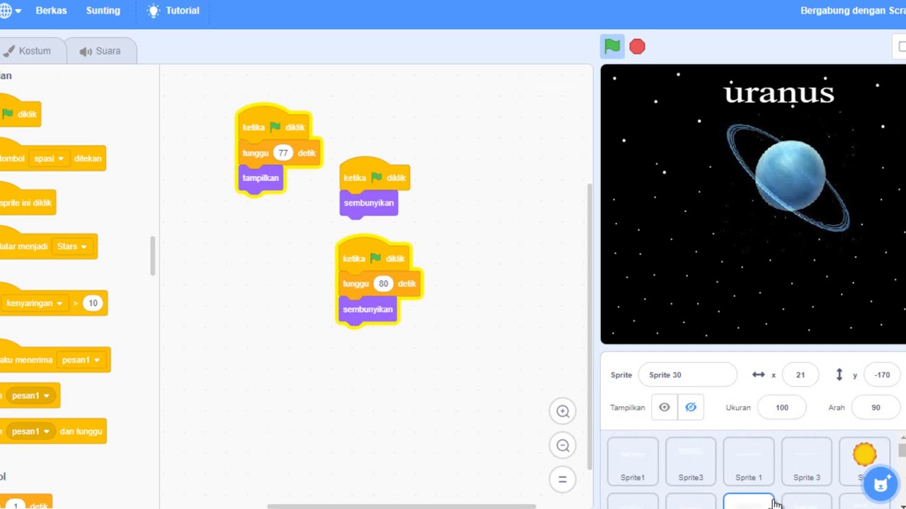 Scratch Beruang - YouTube