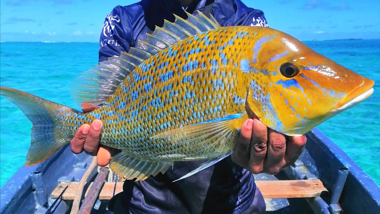 Hardest fighting fish in the shallows - Lagoon fishing at Grand Sable, Mauritius - Ep30