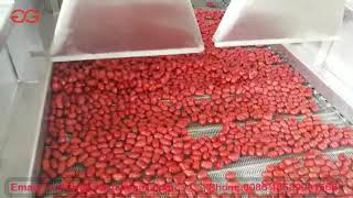 Dates Cleaning Machine Dates Processing Machine Manufacturer