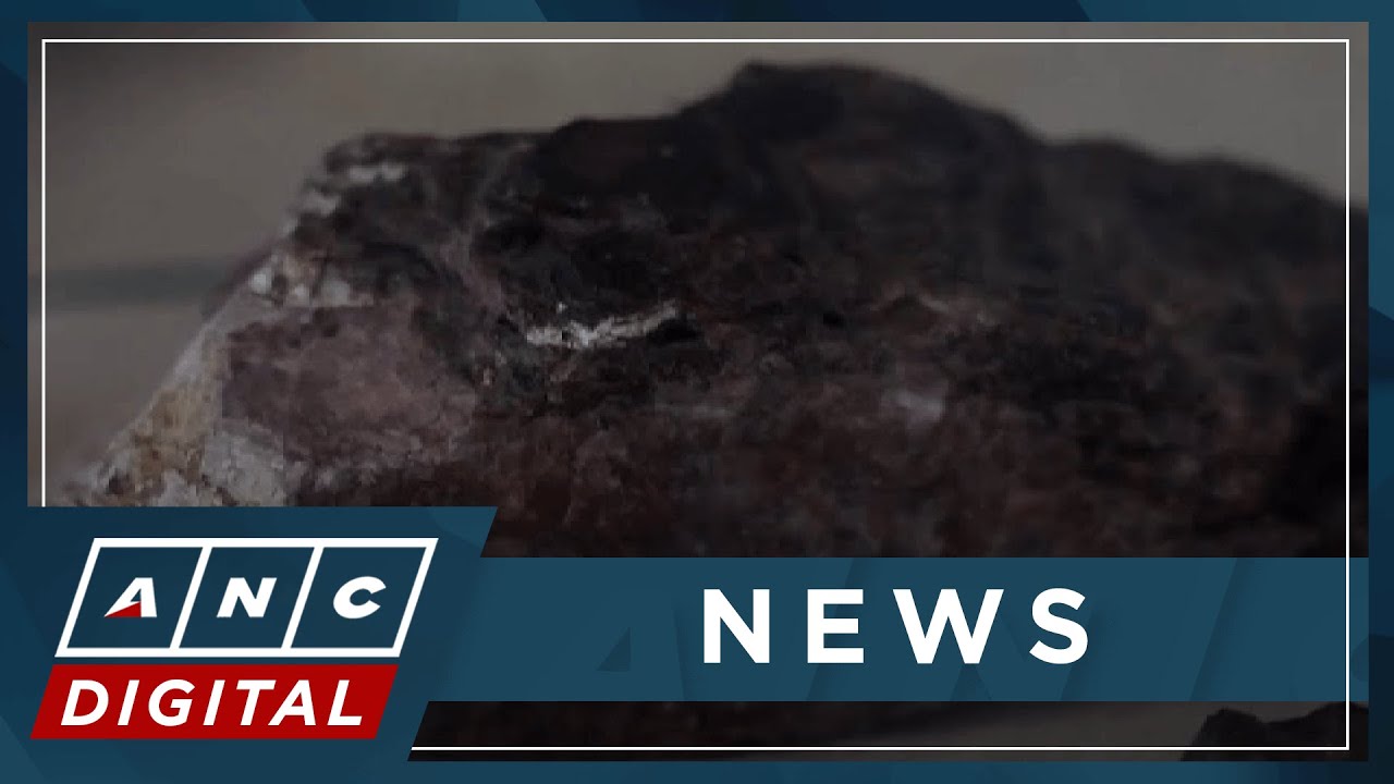 U.S., Australia sign critical minerals agreement to counter China | ANC ...