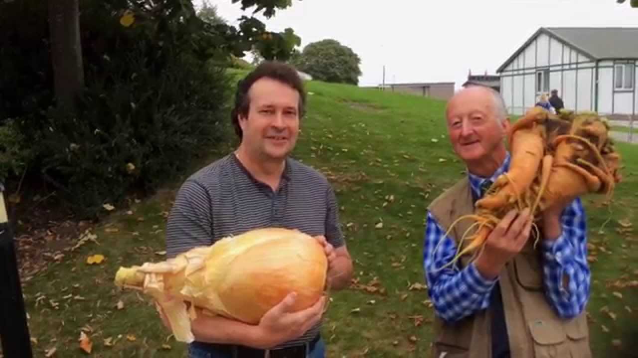 Worlds Largest Onion and Carrot unveiled in UK - YouTube