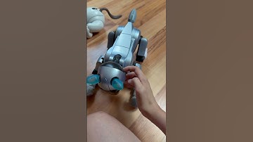 Bytes SCREAMING #aibo #sonyaibo #robot #dog #smallyoutuber