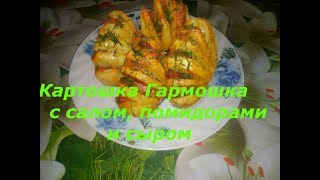 Картошка гармошка с салом ,помидорами ,луком и сыром в духовке. Пальчики оближешь. Картошка гармошка с салом ,помидорами ,луком и сыром в духовке. Пальчики оближешь.