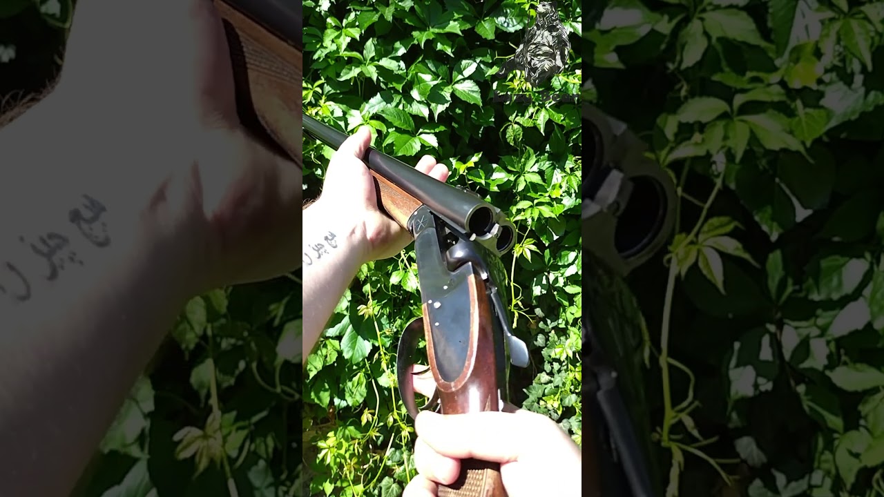 Old .16ga Hammerless Double Barrel Shotgun 