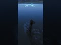 IS IT EVER WORTH IT? | THE ISLE