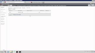 Workbrain Balances and Accruals 2