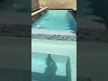 The End Result of White Plaster fyp transformation pools pov #Shorts #primetimepoolplastering