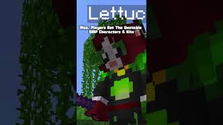 Can You Possibly Enter The Unstable SMP? | #unstablesmp