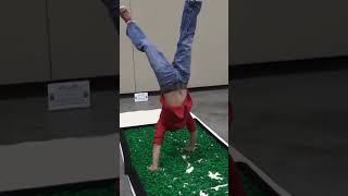 Handstand Challenge