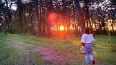 富山県 グリーンパークおおしまキャンプ場 プチ紹介 Youtube