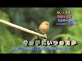 面影の都 字義版