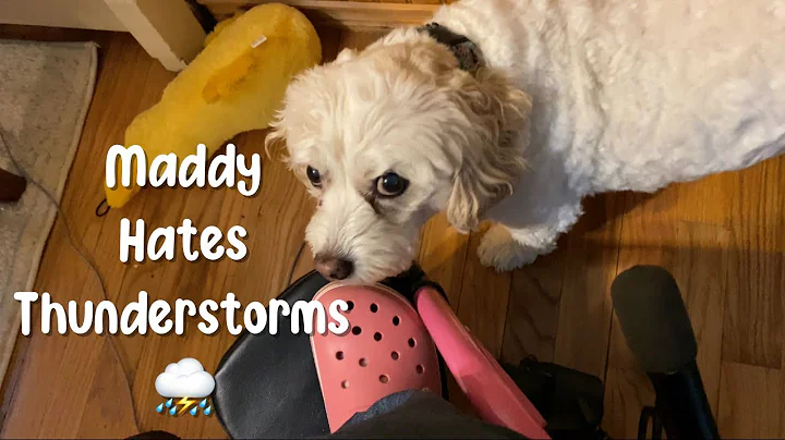 RAIN STORMS ON SUNDAY AFTERNOON (5.16.21)