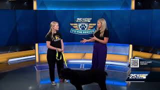 WPBF 25 News 6/28/23 - To The Rescue Segment by Peggy Adams Animal Rescue 117 views 9 months ago 3 minutes, 58 seconds