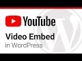 How to Embed a YouTube Video in WordPress