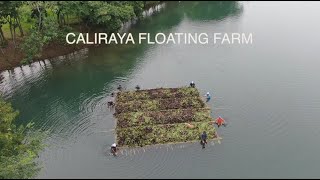 Building a BIGGER floating farm (2020)