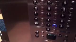 ThyssenKrupp high-rise traction elevators, @ Hampton inn and suites, Halifax NS