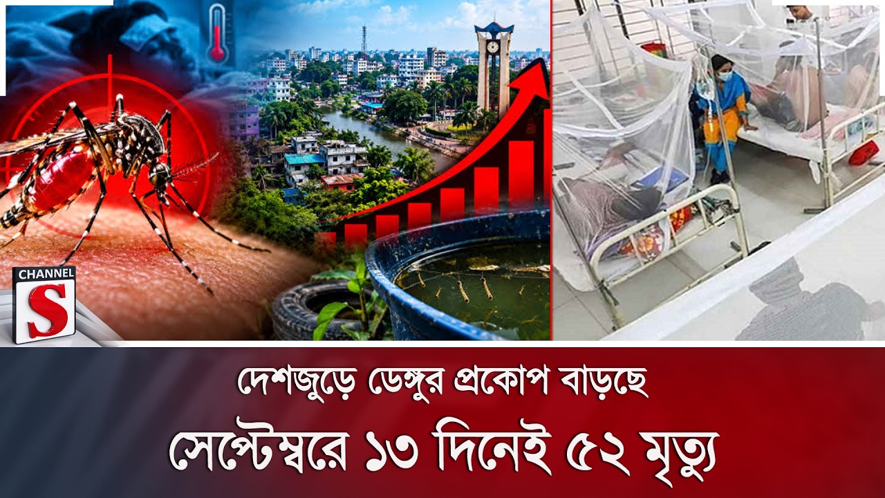 চট্টগ্রাম ও মেহেরপুর থেকে হাম ও ডেঙ্গুর বিষয়ে সবশেষ পরিস্থিতি | Channel  S News