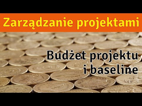 Wideo: Jakie jest odniesienie projektu?