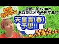 【天皇賞(春)2025の予想】今年は混戦！？見るべきデータはココ！高配当期待の一戦🐴