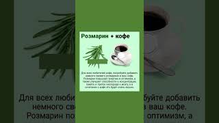 Розмарин С Кофе Вкусно И Полезно #Розмарин #Кофе #Здоровье #Польза  #Полезнознать #Полезныесоветы