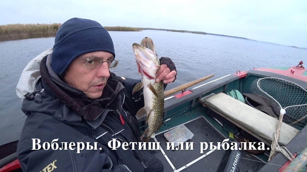 доктор зай рыбалка