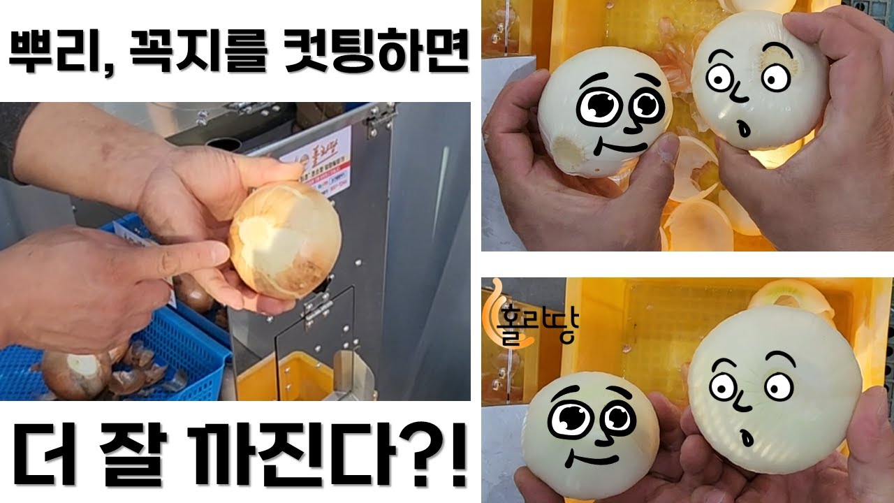 양파탈피기 홀라당 (뿌리, 꼭지 컷팅 후 탈피) - YouTube